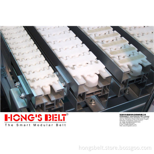 The Flexible Plastic Chains Belt (HS-7100-83)